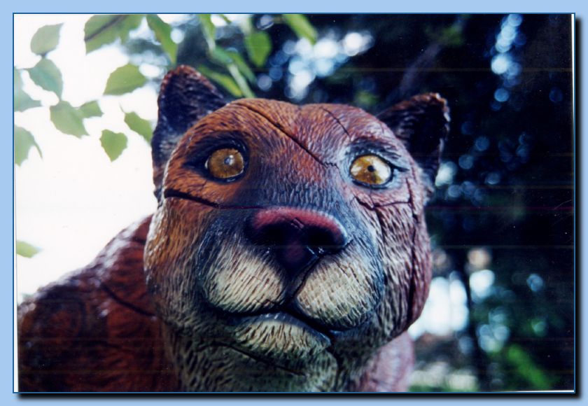 2-09 mountain lion-archive-0007